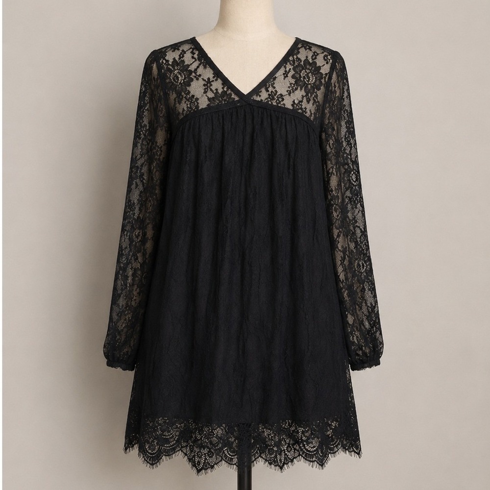 Black Lace Long Sleeve Babydoll Mini Dress XS V-Neck Sheer Whimsigoth Witchy